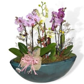 thumb-mini-orquideas-decoradas-em-um-vaso-perola-2