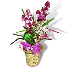 thumb-orquidea-decorada-em-vaso-de-vime-1