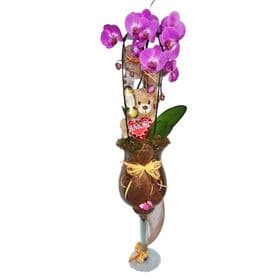 thumb-orquidea-urso-e-ferreiro-na-taca-de-vidro-1