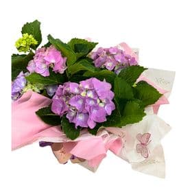 thumb-hortensia-decorada-na-caixa-0