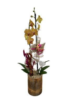 thumb-orquidea-no-tubo-dourado-1