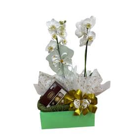 Box Orquidea Chocolate