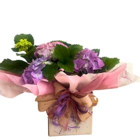 thumb-hortensia-decorada-na-caixa-1