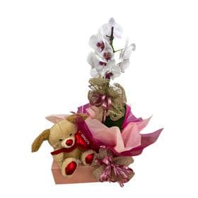 thumb-box-orquidea-com-urso-1