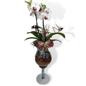 Mini Orquídea Decorada na Taça de Vidro 