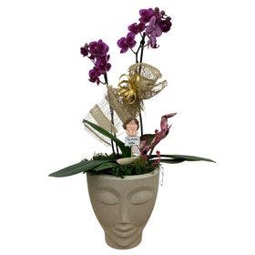Orquídea decorada no Vaso Face