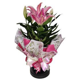 Buquê com 8 Rosa chá