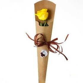 Petalas de Rosas